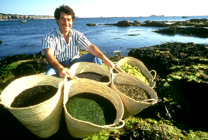 Algae and Kelp Extracts_Spa Technologies