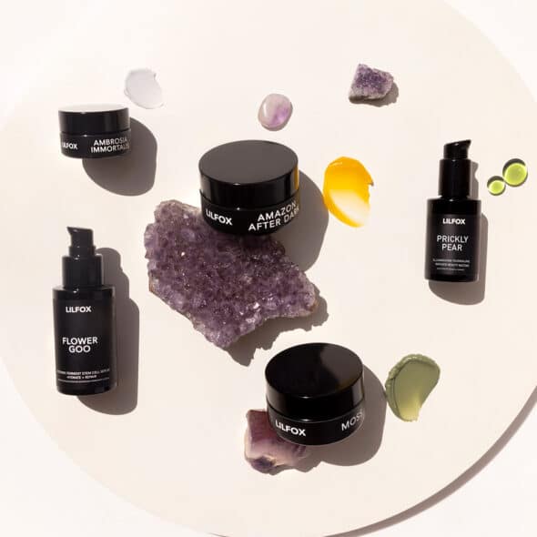 LILFOX Products